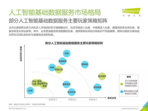 《2019年中国人工智能基础数据服务行业白皮书》 基础数据服务与软件开发的双轮驱动