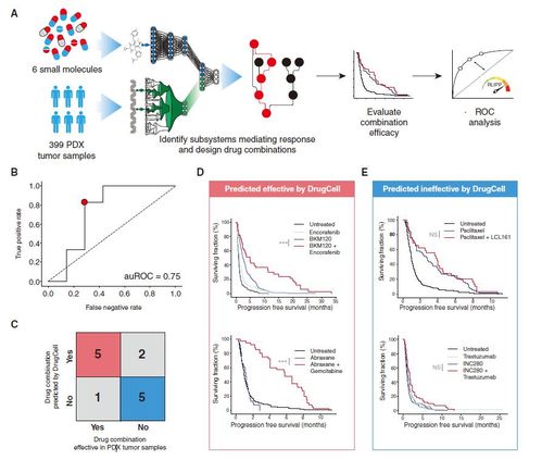 智能医疗新突破 AI系统为癌症患者精准匹配药物组合
